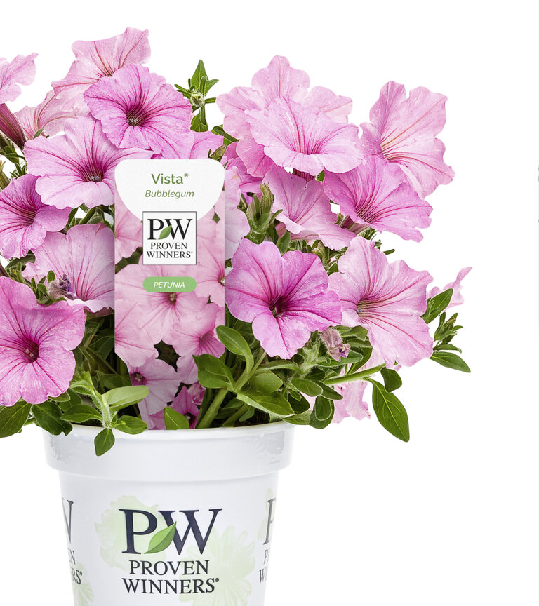 PROVEN WINNERS® corporate